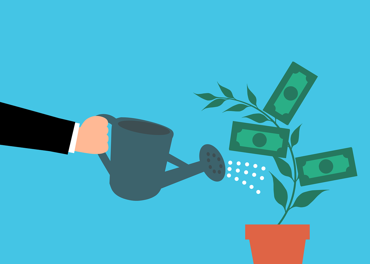 An illustration of a plant with money growing from its stem. A hand is holding a watering can and watering the plant.